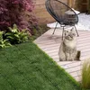 猫のキャリアガーデンスキャットマット忌避マット安全樹木串焼きストリップスパイク犬メッシュプラスチックスパイクペット製品を防ぐ