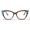 Sunglasses Leopard Print Anti-UV Blue Rays Glasses Retro Ultra-light PC Computer Goggles Big Frame Vision Care Eyeglasses Women Girls