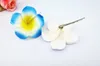 Hair Accessories 50 Mixed Color Foam Hawaiian Plumeria Flower Frangipani Bridal Clip 6cm