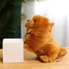 1pc 30cm kawaii kabarık chow chow peluş oyuncak sevimli hayat benzeri köpek bebek bebek kızlar için yumuşak oyuncaklar doğum günü hediyeleri 240315