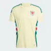 Kids Wales Johnson Soccer Jersey 2024 Euro Cup Cymru National Team Men Home Away Football Shirts Kit Full Full Uniform Brooks Williams Davies Brooks Wilson Ampadu