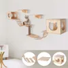 Set di mobili per gatti sospesi con mensola montata 9 pezzi Parco giochi per interni con tiragraffi per scaletta a ponte