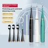 Cabeças 6 em 1 Ultrassonic Dental Scaler Electric dentes de dentes de dentes de limpeza Ferramenta de clareamento tártaro Cuidado de irrigador oral Removendo odores portáteis