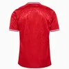 23 24 24 Denmark Eriksen piłka nożna drużyna narodowa Dolberg Delaney Braithwaite 2023 2024 WASS Jensen Kjaer Hojlund Olsen Hojbjerg Men Kit Socks Football Shirts