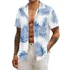 Herren-Freizeithemden, Sommer, Strand, digital bedrucktes Hemd, Langarm, Bluse, Herren, T-Shirt mit Knopfleiste, Kleid, Halsausschnitt