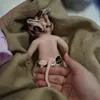 7 Micro Preemie Baby Doll in silicone per tutto il corpo Realistica Mini Reborn Doll Surprice Bambini Anti-Stress 240308