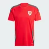 Kids Wales Johnson Soccer Jersey 2024 Euro Cup Cymru National Team Men Home Away Football Shirts Kit Full Full Uniform Brooks Williams Davies Brooks Wilson Ampadu