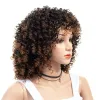 Perücken Mode Perücke Kurzer Stil Kleine Explosive Afro Curl Haar Schwarz Braun Zweifarbige Faser Hochtemperatur-Seidenkopfbedeckung