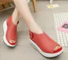 Sandaler Kvinnor Summer Wedge Kvinnlig sluttning Fish Mouth Platform Böhmen Hög häl Fashion Ankle Strap Open Toe Ladies Shoes