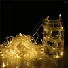 Strings ICOCO 100 LED Blue Color String Fairy Lights Party Christmas Garden Waterproof IP44 Flash Deal Sale For UK Plug