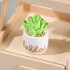 Decoratieve Bloemen Kunstmatige Cactus Kleine Plantenpotten Beeldjes Mini Hars Decor Potplanten Thuis