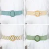 Belts PP Straw Belt Bohemian Wide Elastic Waist Braided Waistbelt Summer Casual Apparel Accessories