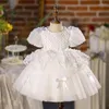 Girl Dresses Princess Flowers Ball Gown Dress Kids Clothes Girls Cake Formal For Weddings Sequin Party Evening