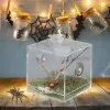 Kits réservoir à insectes conteneur en plastique boîtier d'araignée acrylique escargot boîte d'élevage Reptiles sautant Terrarium