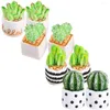 Fleurs décoratives 8 pièces Cactus artificiels plantes miniatures Figurines résine décor bonsaï artisanat décors décoration de la maison