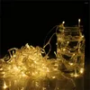 Strings icoco 100 LED Blue Color String Fairy Lights Party Christmas Garden Waterproof IP44 Flash Deal Sale For UK Plug