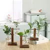 Vases Transparent Bulb Vase With Wooden Stand Hydroponic Plants Glass Home Office Garden Desktop Bonsai Decor Flower Gift