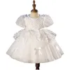 Girl Dresses Princess Flowers Ball Gown Dress Kids Clothes Girls Cake Formal For Weddings Sequin Party Evening