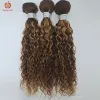 Perucas de fechamento de renda transparente com pacotes coloridos destaque onda de água pacotes com fechamento brasileiro remy cabelo humano applegirl