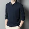 Men's Polos Wool Winter Long-Sleeved T-shirt Lapel Young And Middle-Aged Business Casual Bottoming Polo Shirt Top