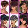 Pelucas sintéticas Pelucas de cosplay Peluca de diadema corta con flequillo Afro Kinky Curly Head Band Pelucas para mujeres Peluca de pelo natural sintético con bufanda Cosplay Uso diario 240327