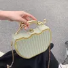 Totes Borsa quadrata di lusso con manico leopardato da donna Borsa quadrata in metallo Y2k Borsa a tracolla con catena squisita da ragazza in pelle