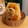 1pc 30cm kawaii kabarık chow chow peluş oyuncak sevimli hayat benzeri köpek bebek bebek kızlar için yumuşak oyuncaklar doğum günü hediyeleri 240315