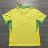 2024 Copa brasil voetbalshirts ENDRICK Camiseta de futbol PAQUETA RICHARLISON voetbalshirt RODRYGO maillots voetbal VINI JR RAPHINHA BRAZILIË Kits 3XL 4XL