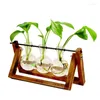 Vases Wooden Pot Home Desktop Creative Bonsai Stand Plant Container Glass Hydroponic Vase Flower Bulb Tabletop Planter Decor