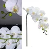 Orquídea artificial em massa toque real grande látex orquídea falsa phalaenopsis flor decoração de casamento para casa 240313