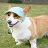 Vêtements de chien Sécurité Chiens Casquettes de baseball avec corde de menton extensible Mode Cool Chats Chapeau Pet Protège Débarrasser