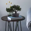 Decoratieve bloemen kunstplanten gesimuleerde bonsai bureauboom kleine nep-pot voor huisdecoratie binnen grenen