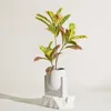 Fiori decorativi 83 cm Ficus Albero Pianta Foglia di plastica Disposizione di fiori finti Ornamentale artificiale per interni per la decorazione domestica Ufficio