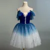 Сценическая одежда, синие балетные длинные юбки для девочек, детский костюм «Лебединое озеро», танцевальный трико, женская танцевальная одежда, наряд
