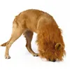 Dog Apparel Pet Lion Wig Costume Cat Headgear Small Hat Funny Headdress For Po Shoots Cospaly Party