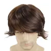 Perruques GNIMEGIL synthétique cheveux bruns hommes perruque années 80 coiffure Cosplay courte boucle perruque pour homme perruques naturelles pour hommes Halloween Costume fête