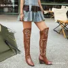 Laarzen bonjomarisa over de kniehoge cowboylaarzen voor dames borduurwerkmode dij hoge cowgirl laarzen blok hiel western laarzen schoenen