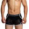 속옷 섹시 속옷 남자 복서 반바지 Shorts Calzoncillos Stripe 투명 ROPA 인테리어 Hombre Home Quick Dry Lingerie Cuecas