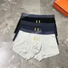 Sexy Herren Unterwäsche Slips Modemarke Sport Boxer Designer Baumwollboxed Underpant Man Boxer Shorts