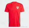 2024 25 Wales Fußballtrikots BALE WILSON ALLEN RAMSEY World National Team Cup Rodon VOKES Home Football Shirt Kurzarm Erwachsene Uniformen Fans Spielerversion