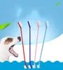 Dubbele kop Huisdieren Toothbrushe Draagbare professionele hond Toothbrushe Handige tandenborstel om de tanden van huisdieren schoon te maken 53 V21200658