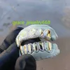 Custom Made Shining 8 Top and 8 Bottom Iced Out Grillz Hip Hop Bling Natural Cvd Moissanite Diamond Teeth Grillz