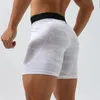 Short de basket-ball pour hommes avec doublure, costumes de sport, gymnastique, football, exercice, randonnée, course à pied, planche de fitness, pantalon court de plage H29 240306