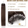 Extensions Snoilite 0.5g Micro Loop Extensions de cheveux cheveux humains Microlink Micro anneau 100 brins/paquet noir brun cheveux naturels raides