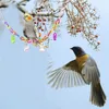 その他の鳥の供給17パックのパラキートおもちゃ吊りベルペットケージスイング小さなオウムフィンチラブバード