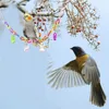 Altre forniture per uccelli Confezione da 17 giocattoli per parrocchetti Campana sospesa Gabbia per animali domestici Altalena da masticare per piccoli pappagalli Fringuelli Uccelli innamorati