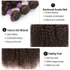 Closure Brown Color Natural Black Jerry Curly Human Hair Bundles With 4x4 Lace Closure Peruvian Remy Hair With Swiss Lace 200g/Set