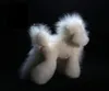 Hondenkleding Teddybeer Wholebody Pruik Poedel Lam Wit Voor Verzorging Model Zachte Warme Kleur Bont 10 STKS