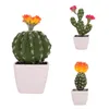 Decorative Flowers Artificial Potted Office Desktop Adornments Home Prickly Plastic Plant Cactus