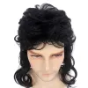 Perruques HAIRJOY cheveux synthétiques Disco mulet perruques pour hommes hippie longue perruque bouclée pour Costume de fête Halloween